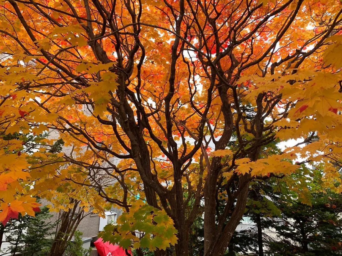 Hdo Sumikawa Villa Sapporo Japan